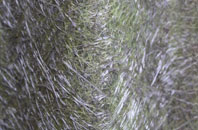 Sevenoaks Common fibreglass roof work